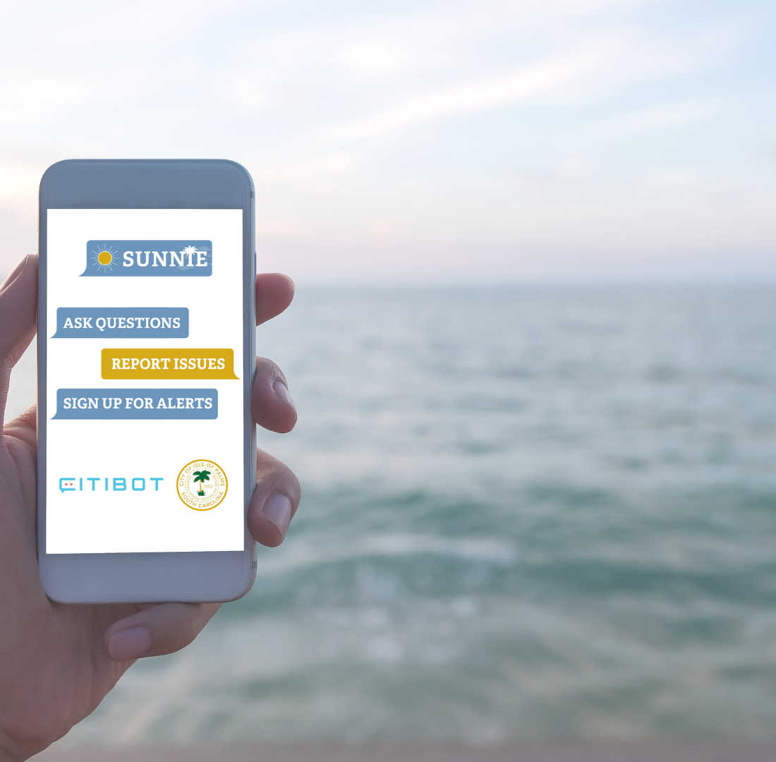 Turtle team member on beach at sunrise